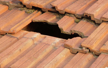 roof repair Long Bredy, Dorset