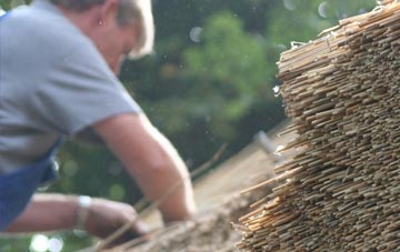 professional Long Bredy thatchers