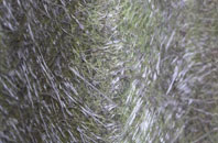 Long Bredy fibreglass roof work