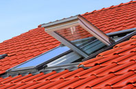 Long Bredy roof window